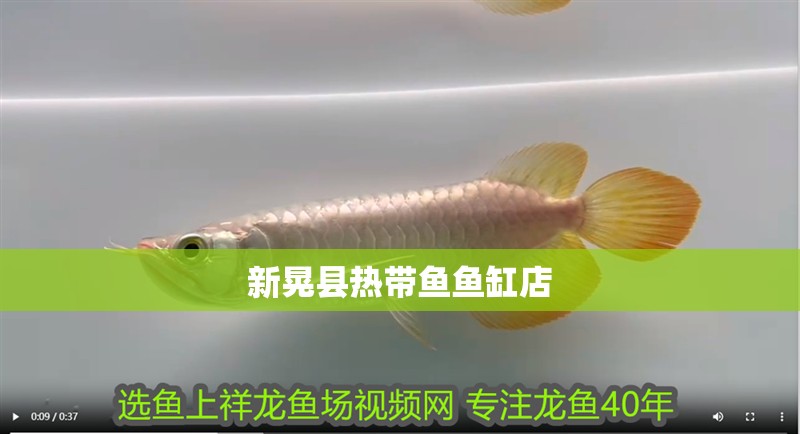新晃縣熱帶魚魚缸店