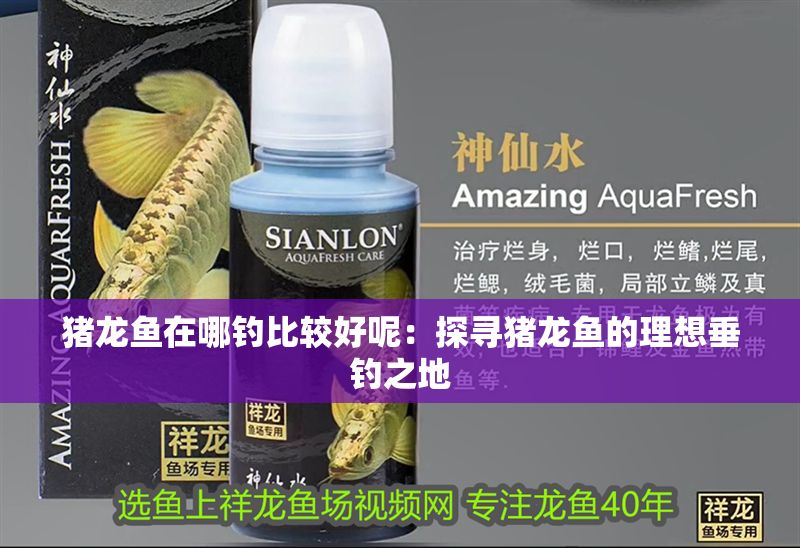 豬龍魚在哪釣比較好呢：探尋豬龍魚的理想垂釣之地