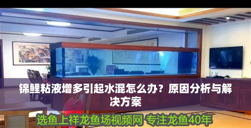 錦鯉粘液增多引起水混怎么辦？原因分析與解決方案