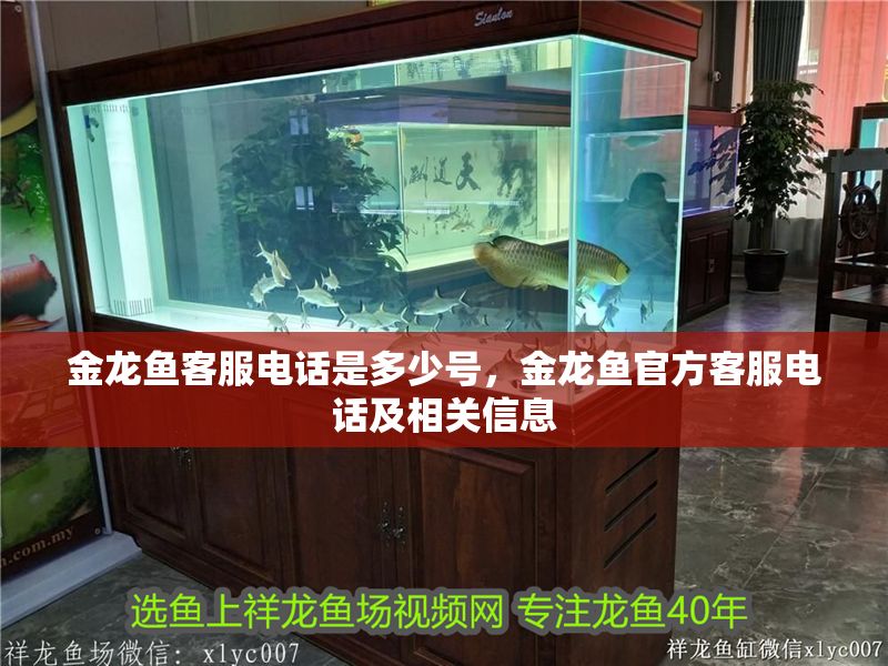 金龍魚客服電話是多少號(hào)，金龍魚官方客服電話及相關(guān)信息