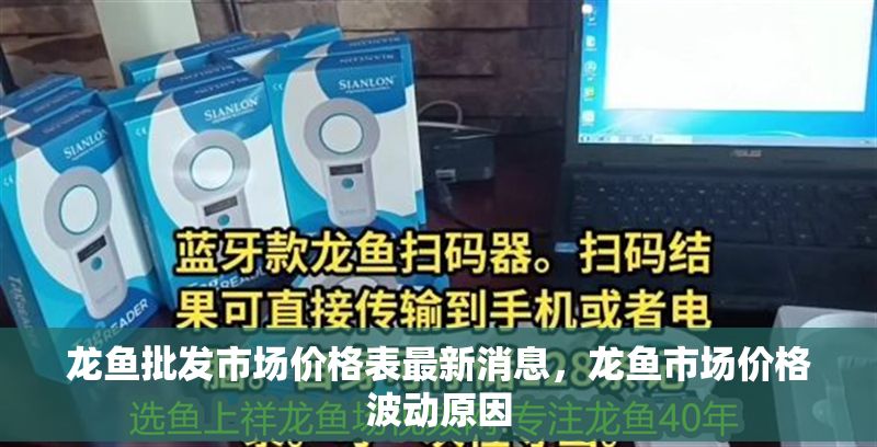 龍魚批發市場價格表最新消息，龍魚市場價格波動原因