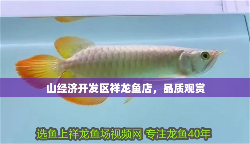 山經濟開發區祥龍魚店，品質觀賞 山經濟開發區祥龍魚店，品質觀賞 全國水族館企業名錄 第1張