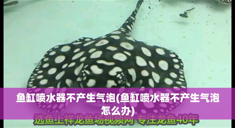 魚缸噴水器不產生氣泡(魚缸噴水器不產生氣泡怎么辦)