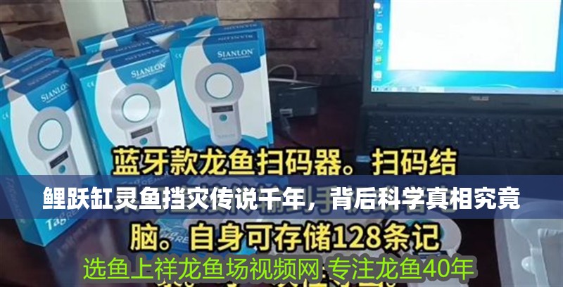 鯉躍缸靈魚擋災傳說千年，背后科學真相究竟