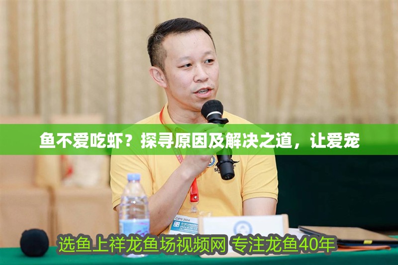 魚不愛吃蝦？探尋原因及解決之道，讓愛寵