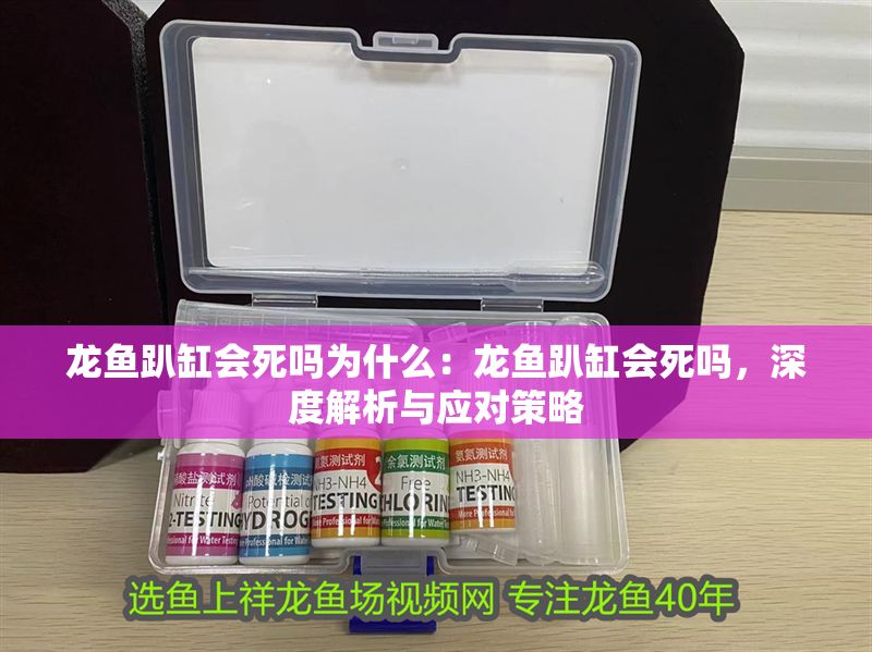龍魚趴缸會(huì)死嗎為什么：龍魚趴缸會(huì)死嗎，深度解析與應(yīng)對(duì)策略