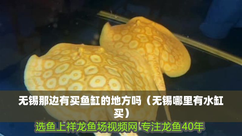無錫那邊有買魚缸的地方嗎（無錫哪里有水缸買）