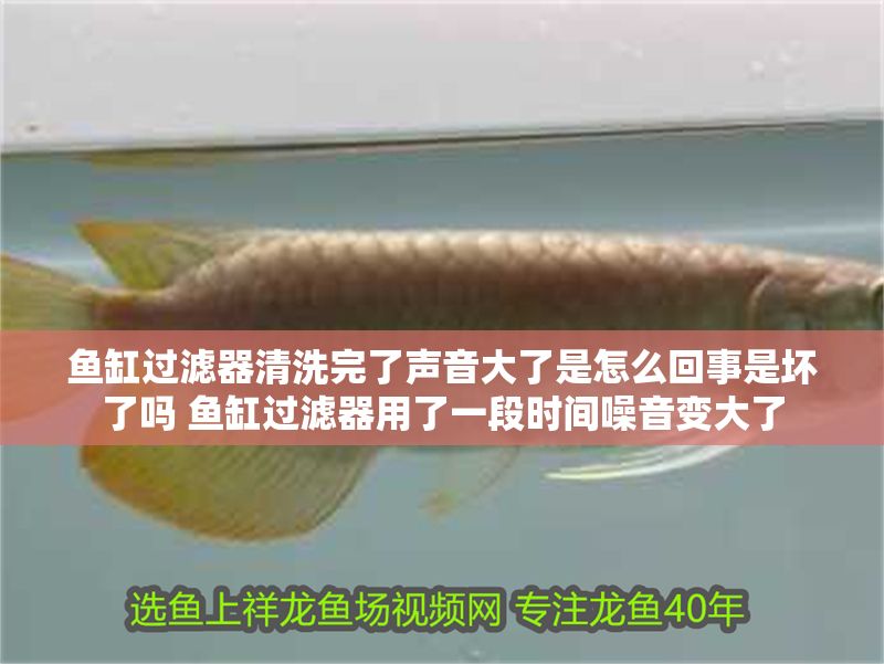 魚缸過濾器清洗完了聲音大了是怎么回事是壞了嗎 魚缸過濾器用了一段時間噪音變大了