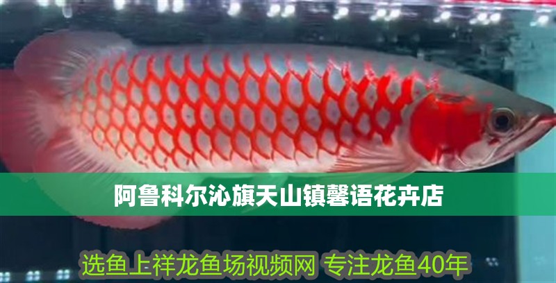 阿魯科爾沁旗<strong><mark>天山</mark></strong>鎮馨語花卉店