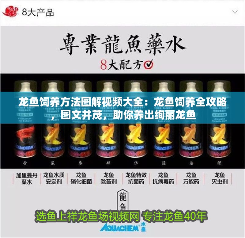 龍魚飼養方法圖解視頻大全：龍魚飼養全攻略，圖文并茂，助你養出絢麗龍魚