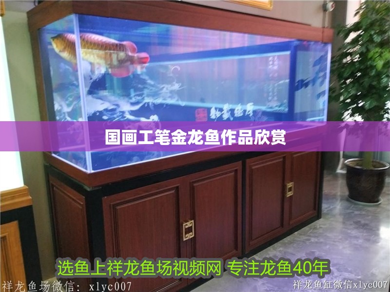國畫工筆金龍魚作品欣賞