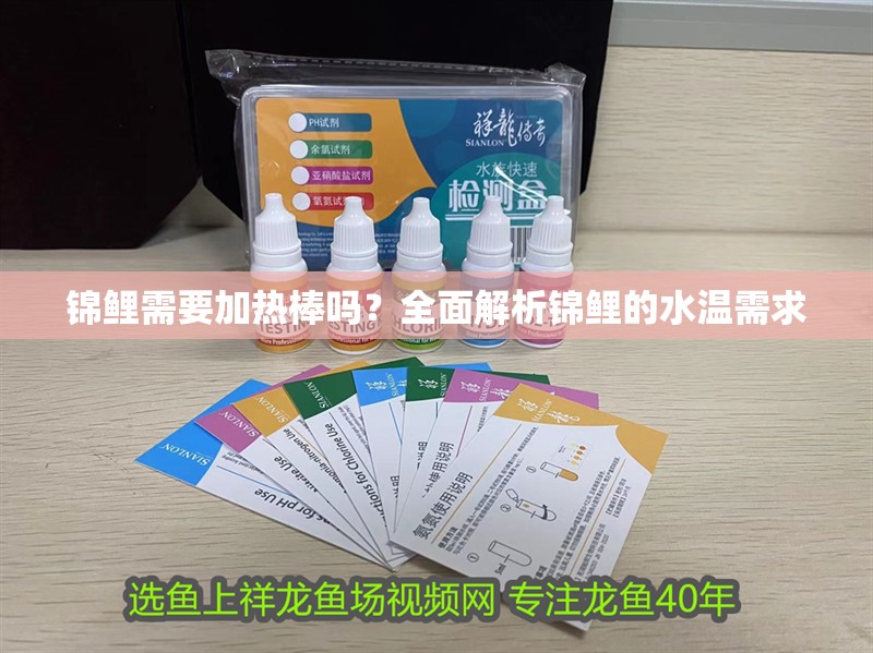 錦鯉需要加熱棒嗎？全面解析錦鯉的水溫需求
