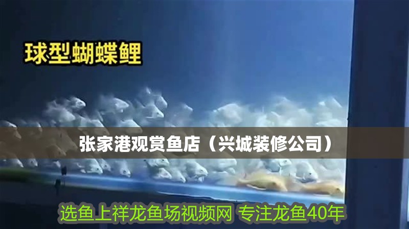 張家港觀賞魚店（興城裝修公司）