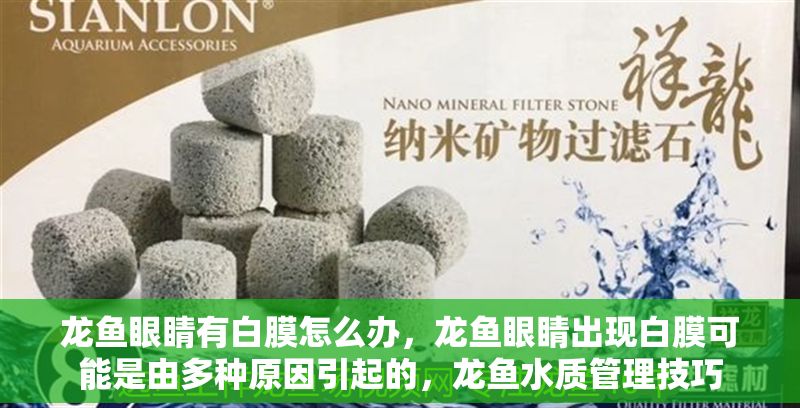 龍魚眼睛有白膜怎么辦,龍魚眼睛出現白膜可能是由多種原因引起的,龍魚水質管理技巧 龍魚百科 第2張 龍魚眼睛有白膜怎么辦,龍魚眼睛出現白膜可能是由多種原因引起的,龍魚水質管理技巧 龍魚眼睛有白膜怎么辦,龍魚眼睛出現白膜可能是由多種原因引起的,龍魚水質管理技巧 龍魚百科 第2張
