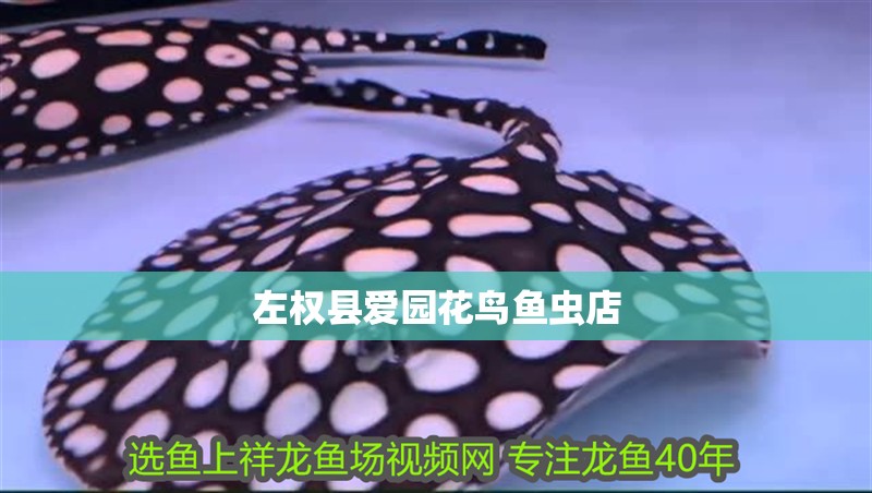 左權(quán)縣愛園花鳥魚蟲店