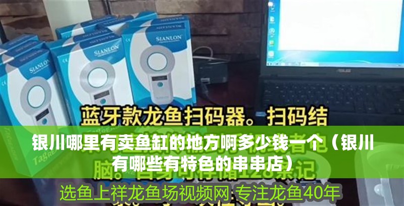 銀川哪里有賣魚缸的地方啊多少錢一個(銀川有哪些有特色的串串店) 全國水族館企業名錄 第1張 銀川哪里有賣魚缸的地方啊多少錢一個(銀川有哪些有特色的串串店) 銀川哪里有賣魚缸的地方啊多少錢一個(銀川有哪些有特色的串串店) 全國水族館企業名錄 第1張