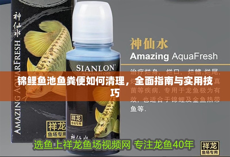錦鯉魚池魚糞便如何清理，全面指南與實用技巧