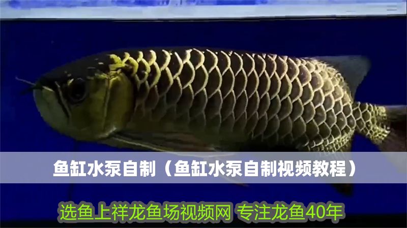 魚缸水泵自制（魚缸水泵自制視頻教程）
