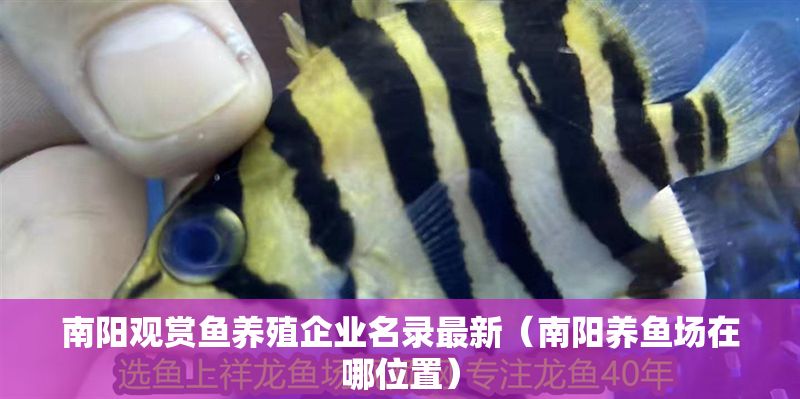 南陽觀賞魚養殖企業名錄最新（南陽養魚場在哪位置）