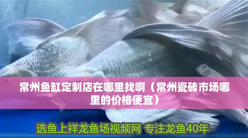 常州魚缸定制店在哪里找啊（常州瓷磚市場哪里的價格便宜） 常州魚缸定制店在哪里找啊（常州瓷磚市場哪里的價格便宜） 全國水族館企業名錄 第1張