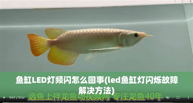 魚(yú)缸LED燈頻閃怎么回事(led魚(yú)缸燈閃爍故障解決方法)