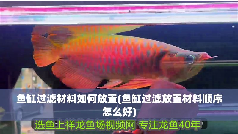 魚缸過濾材料如何放置(魚缸過濾放置材料順序怎么好)