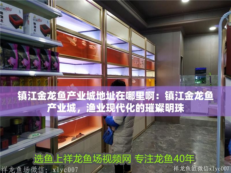 鎮江金龍魚產業城地址在哪里啊：鎮江金龍魚產業城，漁業現代化的璀璨明珠