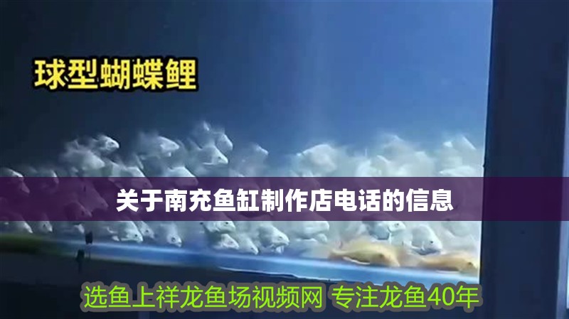 關于南充魚缸制作店電話的信息