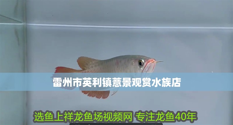 雷州市英利鎮薏景觀賞水族店 雷州市英利鎮薏景觀賞水族店 全國水族館企業名錄 第1張