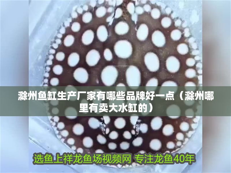 <strong><mark>滁州</mark></strong>魚缸生產廠家有哪些品牌好一點（<strong><mark>滁州</mark></strong>哪里有賣大水缸的）