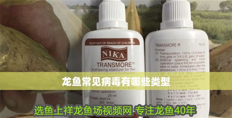龍魚常見病毒有哪些類型