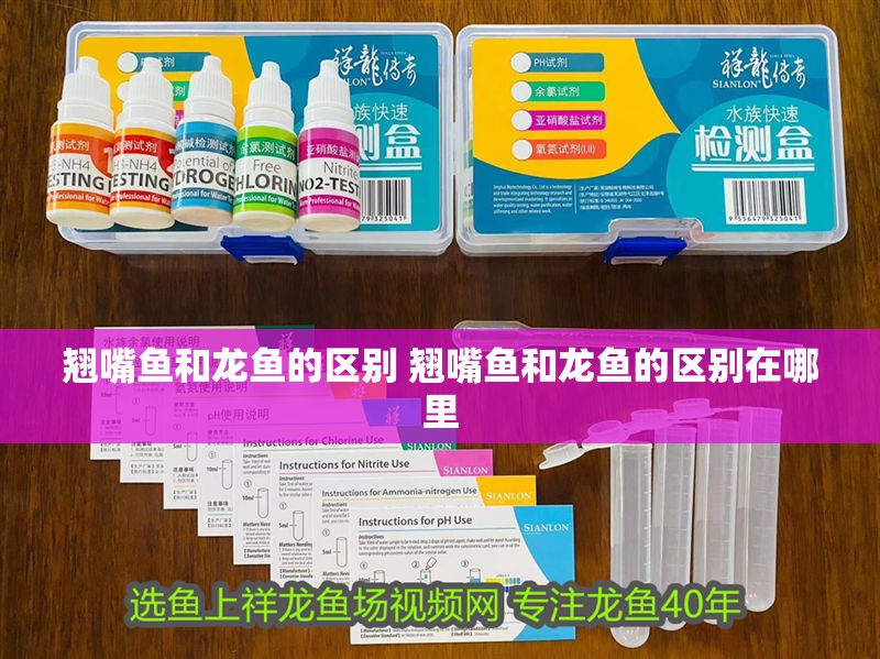 翹嘴魚和龍魚的區別 翹嘴魚和龍魚的區別在哪里