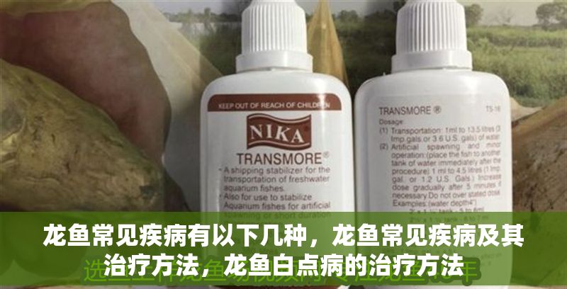 龍魚常見疾病有以下幾種，龍魚常見疾病及其治療方法，龍魚白點病的治療方法