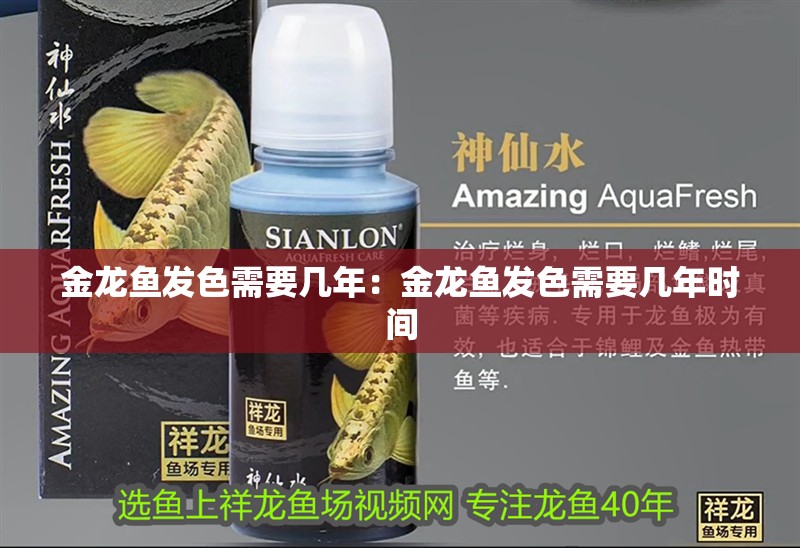 金龍魚發色需要幾年：金龍魚發色需要幾年時間 金龍魚發色需要幾年：金龍魚發色需要幾年時間 龍魚百科 第2張