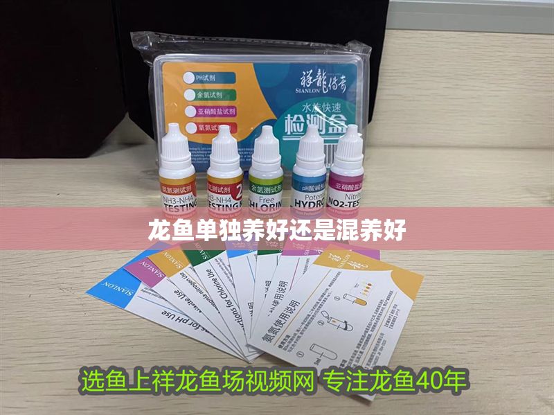 龍魚單獨(dú)養(yǎng)好還是混養(yǎng)好