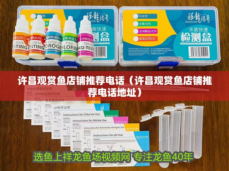 許昌觀賞魚店鋪推薦電話（許昌觀賞魚店鋪推薦電話地址）