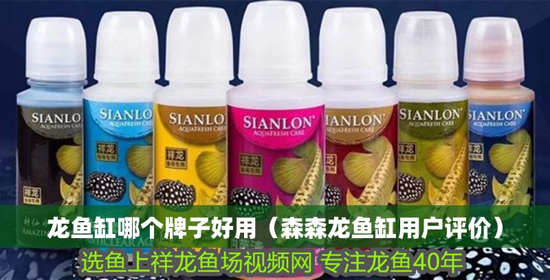 龍魚缸哪個牌子好用（森森龍魚缸用戶評價）