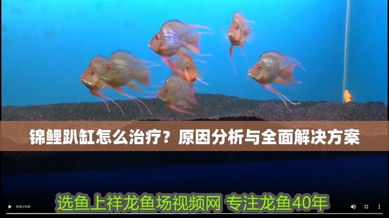 錦鯉趴缸怎么治療？原因分析與全面解決方案