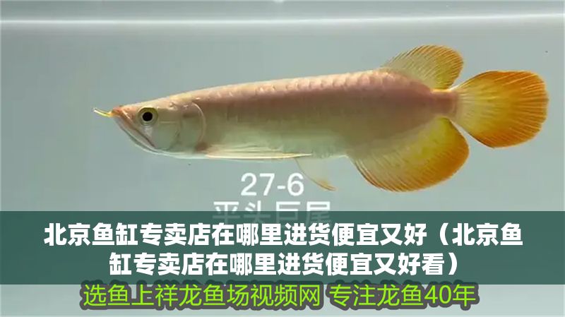 北京魚缸專賣店在哪里進貨便宜又好（北京魚缸專賣店在哪里進貨便宜又好看）