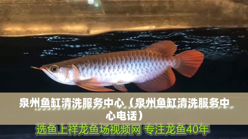 泉州魚(yú)缸清洗服務(wù)中心（泉州魚(yú)缸清洗服務(wù)中心電話(huà)）