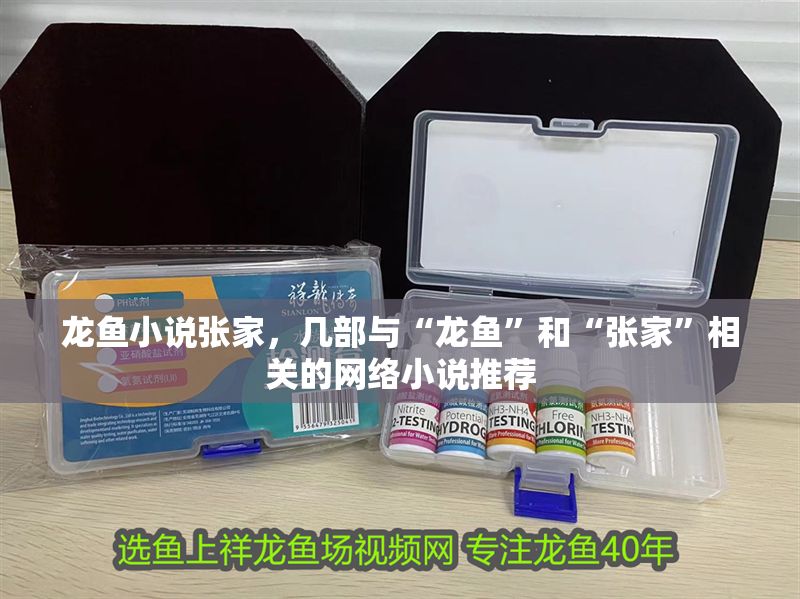 龍魚小說張家，幾部與“龍魚”和“張家”相關的網絡小說推薦
