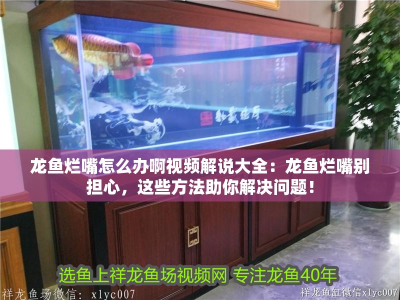 龍魚爛嘴怎么辦啊視頻解說大全：龍魚爛嘴別擔心，這些方法助你解決問題！