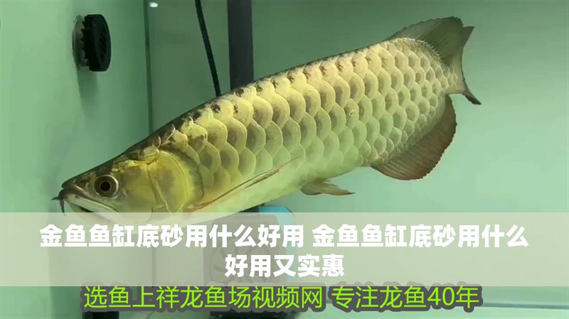 金魚魚缸底砂用什么好用 金魚魚缸底砂用什么好用又實惠 金魚魚缸底砂用什么好用 金魚魚缸底砂用什么好用又實惠 龍魚百科 第1張
