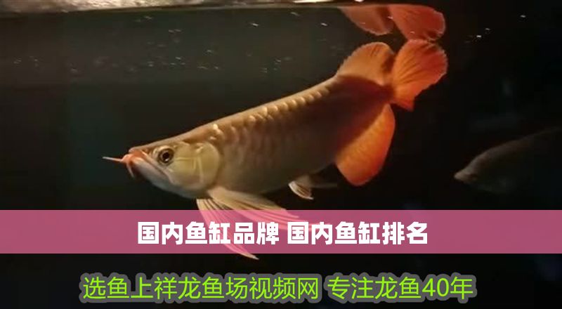 國內魚缸品牌 國內魚缸排名