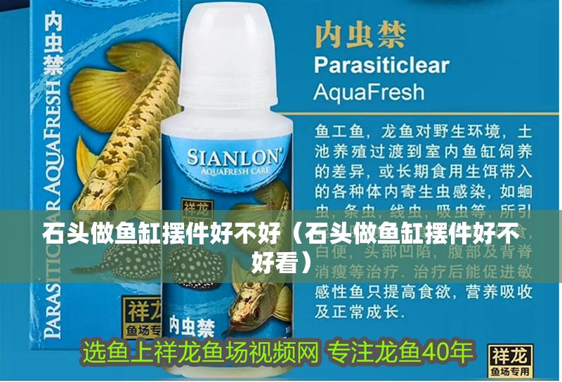 石頭做魚缸擺件好不好（石頭做魚缸擺件好不好看）