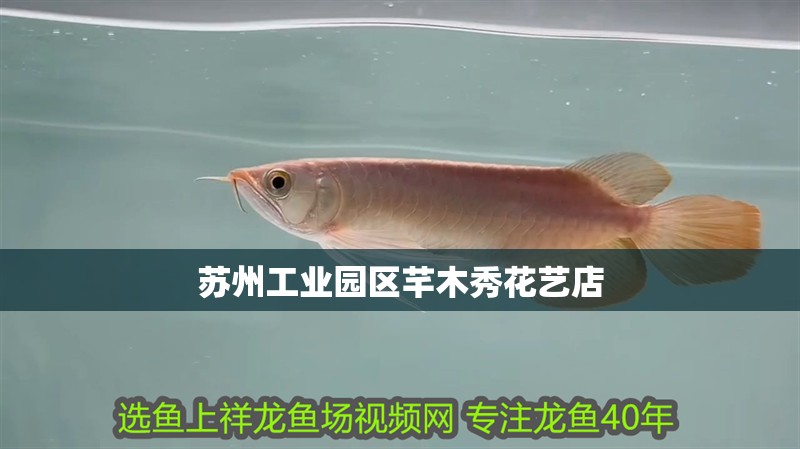 蘇州工業(yè)園區(qū)芊木秀花藝店