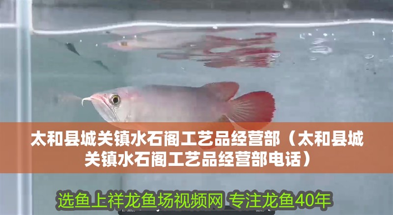 太和縣城關鎮水石閣工藝品經營部（太和縣城關鎮水石閣工藝品經營部電話）