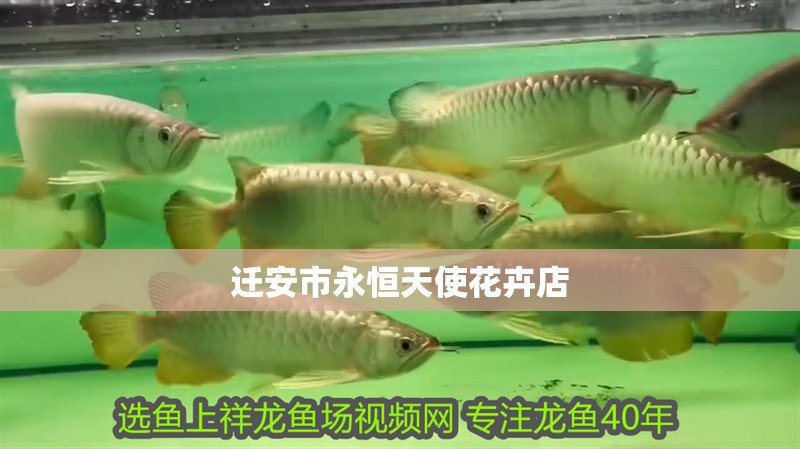 遷安市永恒天使花卉店
