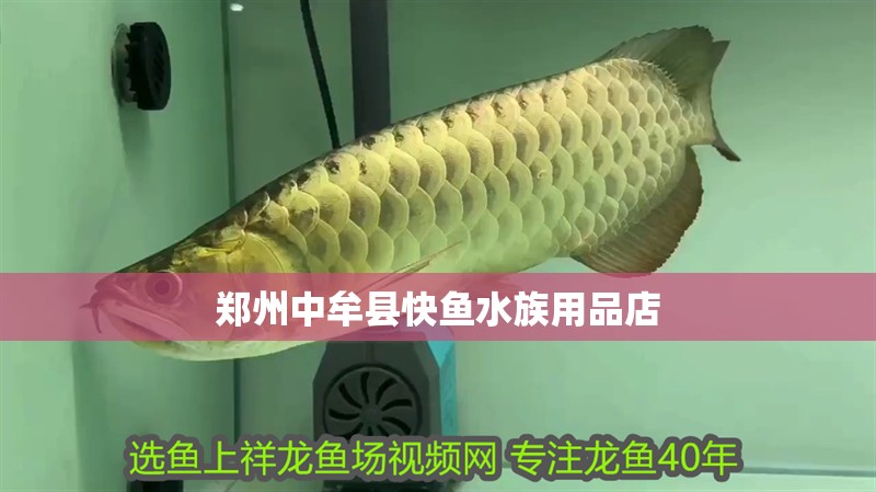 鄭州<strong><mark>中牟</mark></strong>縣快魚水族用品店