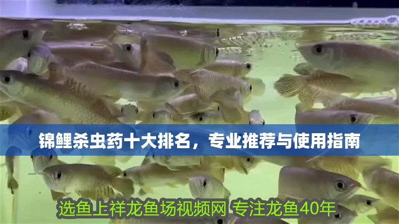 錦鯉殺蟲藥十大排名，專業推薦與使用指南